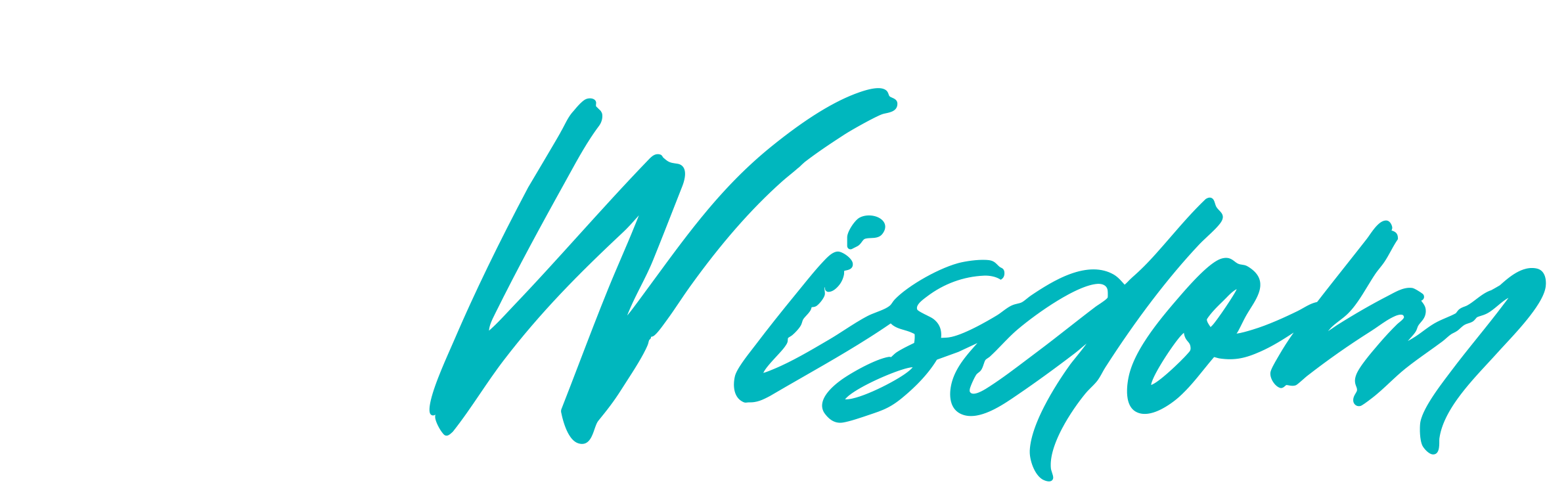 A Lifetime Of Wisdom